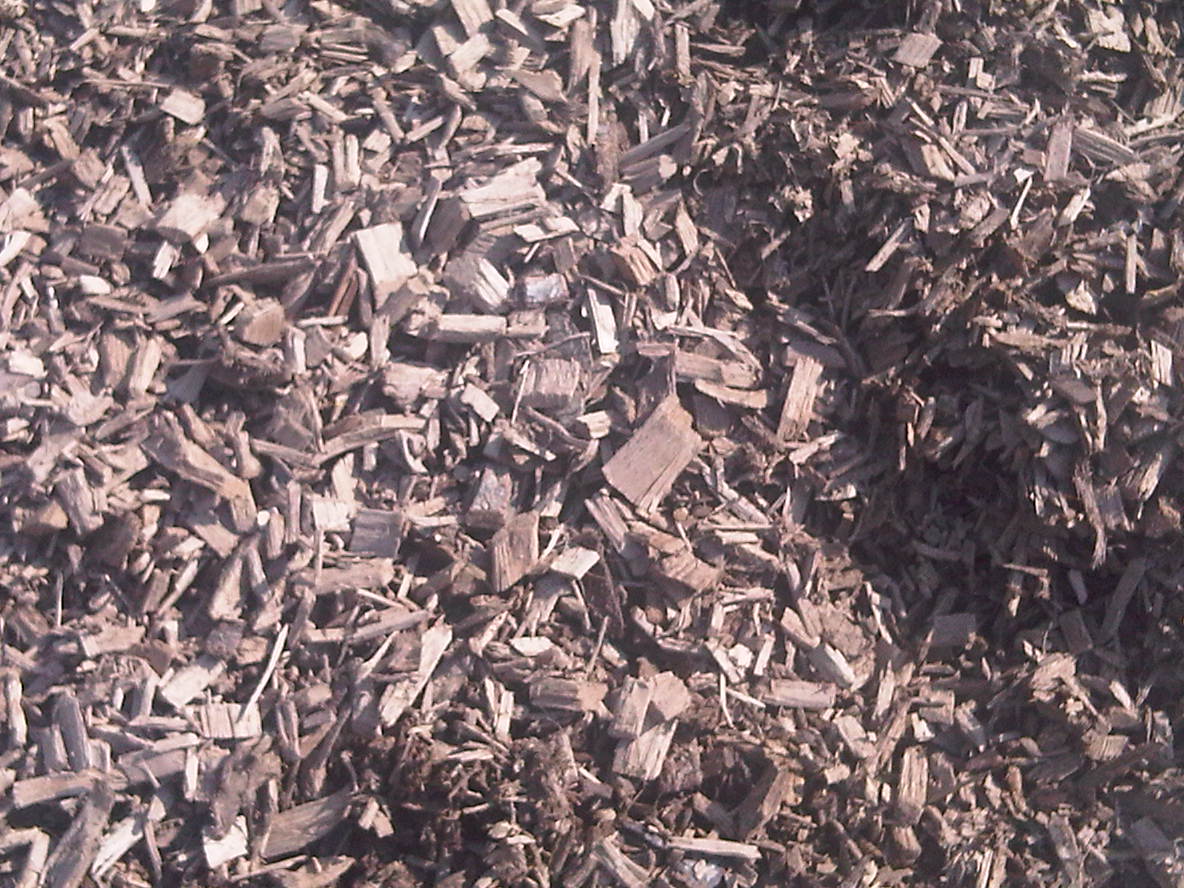 SMALTIMENTO 20.01.08